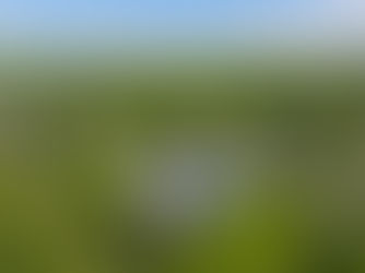 Drone Photography NJ: When to Use Aerial Shots for Real Estate Listings