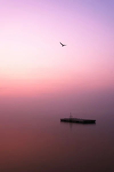 Sonnenuntergang rosa Himmel und Boot auf dem See