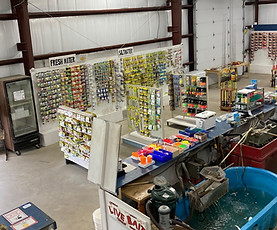 ioms bait-15.jpg