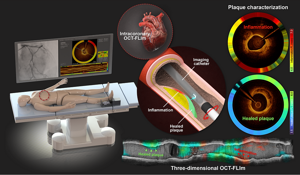 2025 카이스트 대표 연구 성과 10선 선정 (Selected for the 2025 KAIST Top 10 Research Achievements)