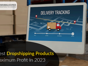 The Best Dropshipping Products for Maximum Profit in 2023