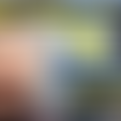 ALLEGED CHILD GROOMER: MOHAMMED ALI CHARGED: