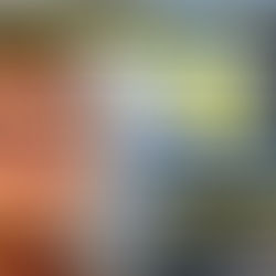 ALLEGED CHILD GROOMER: MOHAMMED SHEKIRI CHARGED: