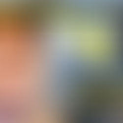 ALLEGED CHILD GROOMER: MOHAMMED TALIB CHARGED: