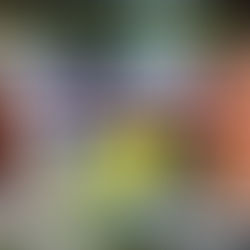 Outrage as Predator Mohamed Noor Iidow Escapes with Light Sentence for Assault and Manslaughter of NHS Worker Natalie Shotter – Justice System Under Fire!