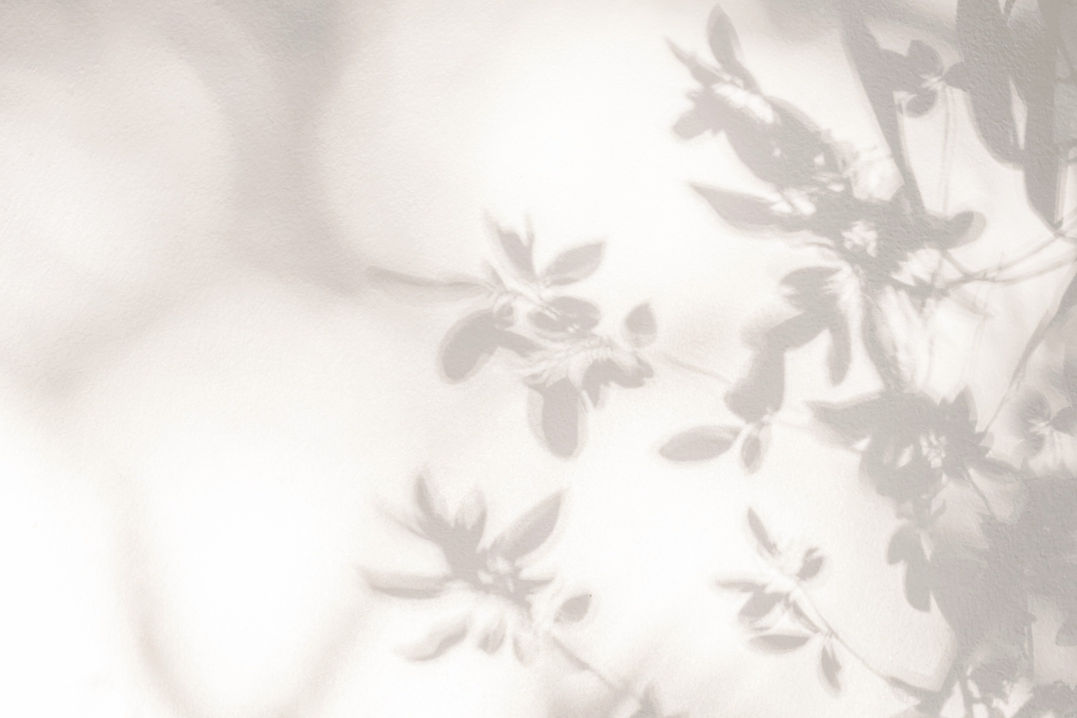 Leaves Shadow _edited_edited.jpg