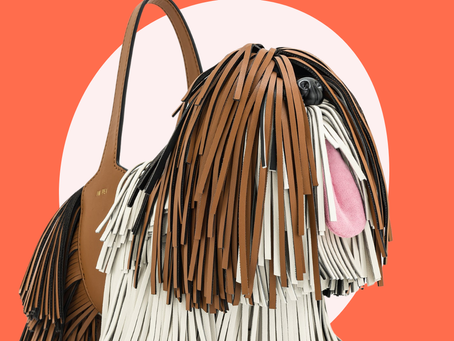 Waarom ‘Emily’ een kans is: zo maak je Gen Z’ers fan van je winkel!