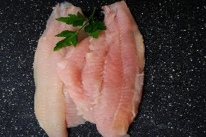 CatfishFillet.jpeg
