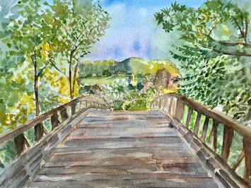 Shady Canyon, Irvine CA