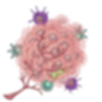 Tumor