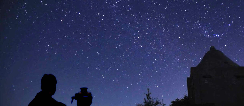 Filming leopards in moon light