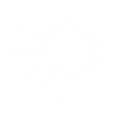 SOL ISOLADO BRANCO 1000x.png
