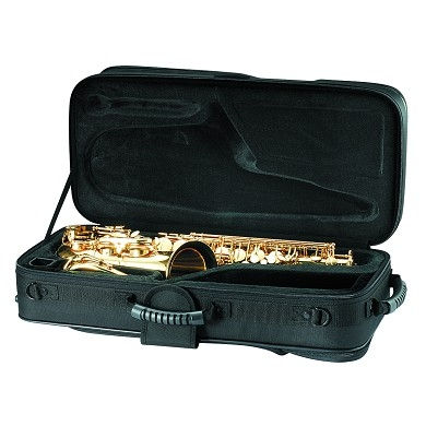 Thumbnail: GL Multifunctional Alto Case