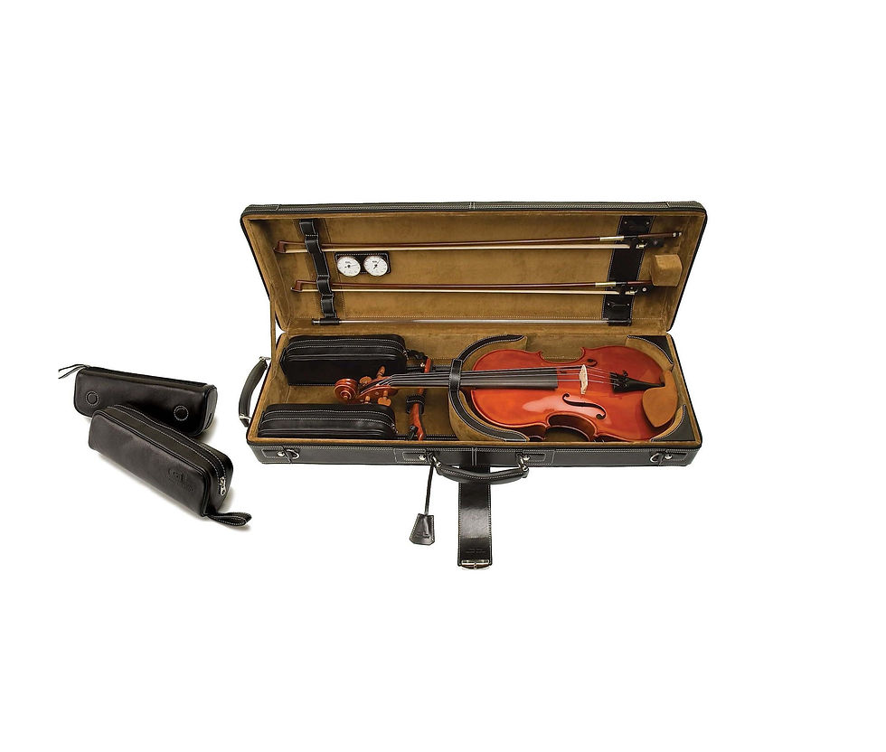 Thumbnail: GL Leather Viola Case