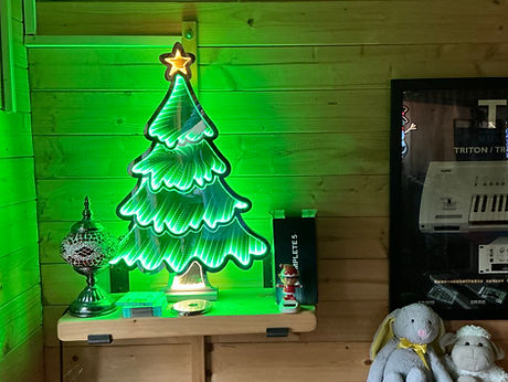 Studio Christmas Tree