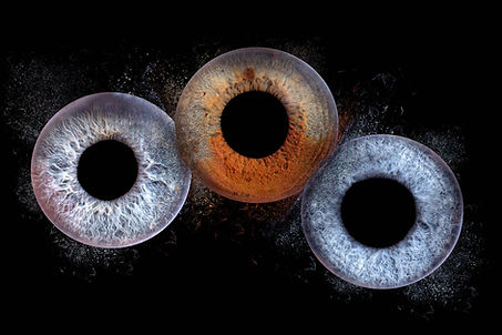 oog-foto-iris-fotoshoot-assen-groningen-meppel-emmen-zwolle.jpg