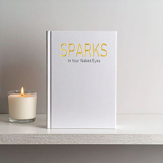 Sparks Sunglasses Book on display.jpg