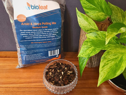 Bio Leaf Aroid and Hoya Medium Potting Mix | bio leaf