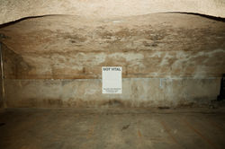 Stalla Madulain - Not Vital