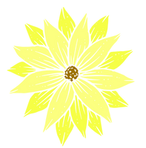 Untitled design (5).png