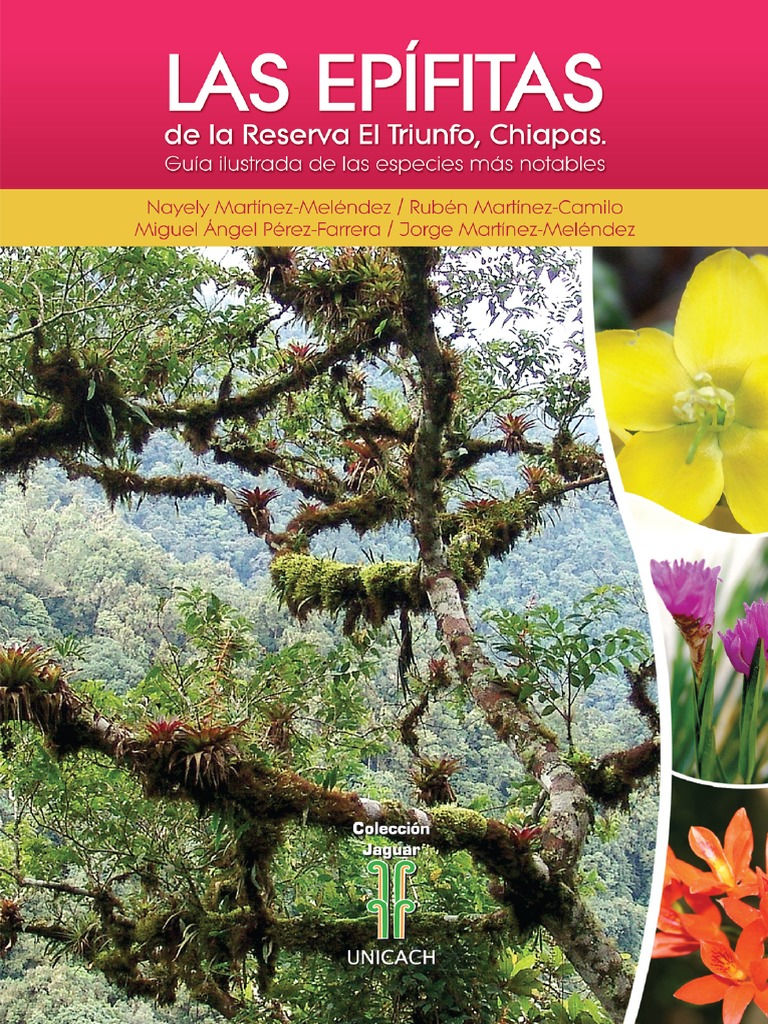 LAS EPÍFITAS DE LA RESERVA EL TRIUNFO, CHIAPAS