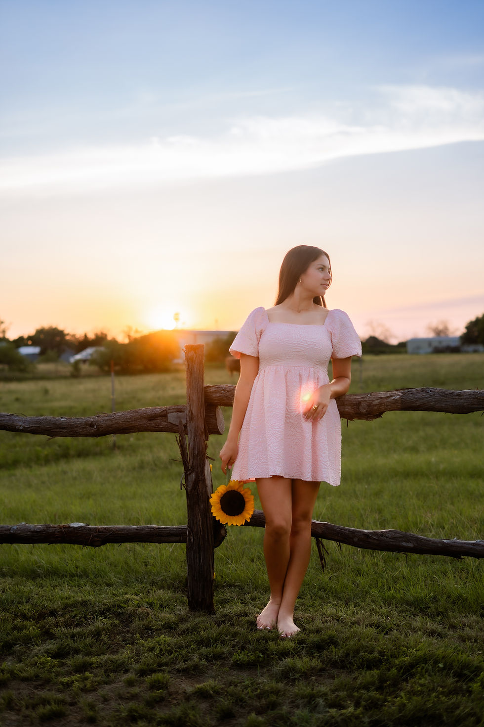sg-photography-sunflower-field-texas.jpg