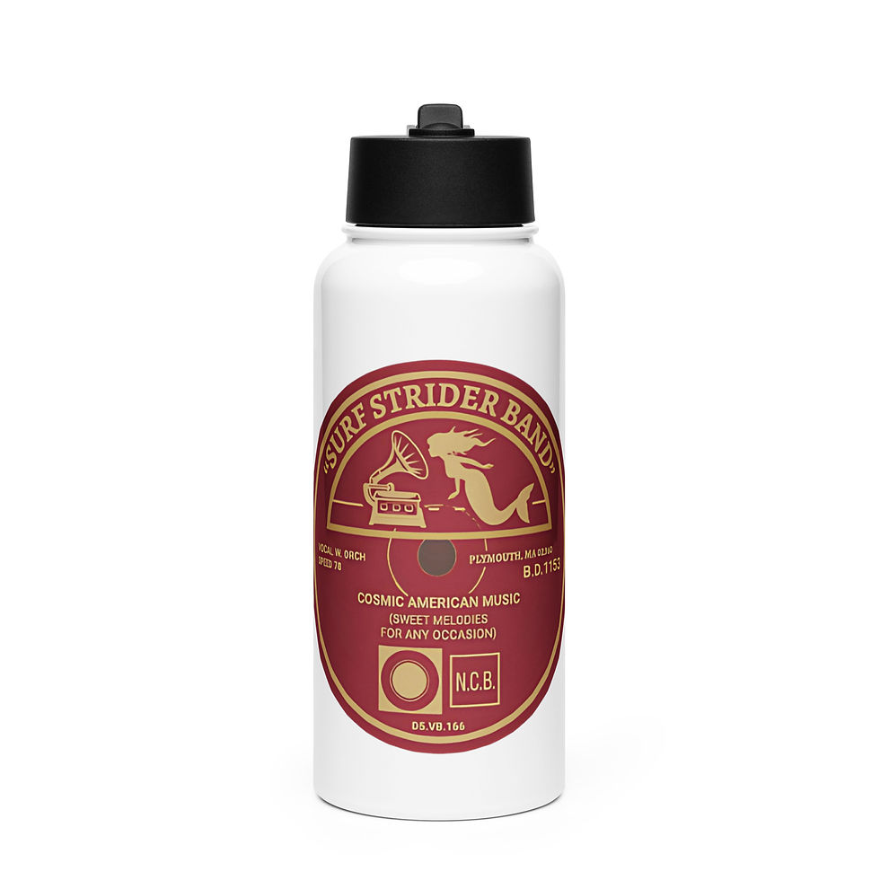 Thumbnail: Surf Strider Record Stainless steel water bottle with a straw lid