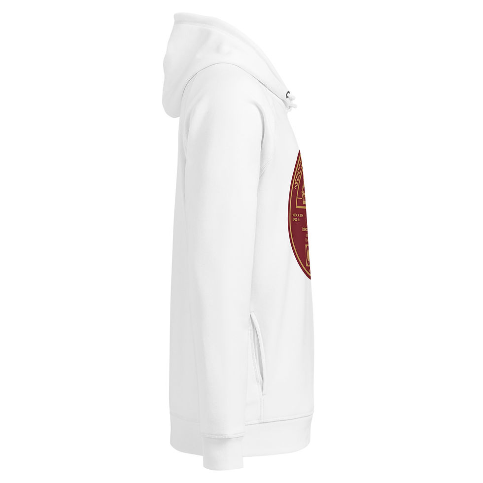 Thumbnail: Surf Strider Record Unisex organic side pocket hoodie