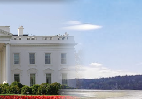 Climate Results in the 2024 Election