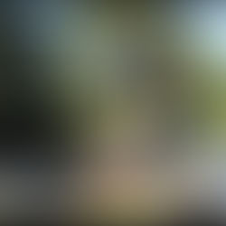 Food Pantry at Njörðshof