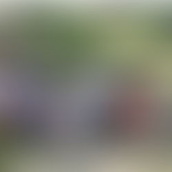 Hotsprings, Arkansas Moot