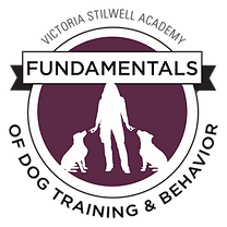 vsa fundamentals.png