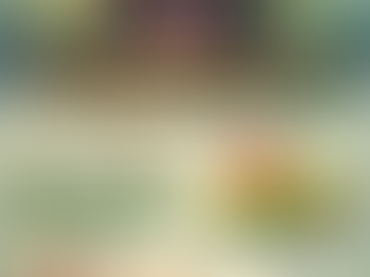 The Cannabis Market Pulse Dec 15th to 21st