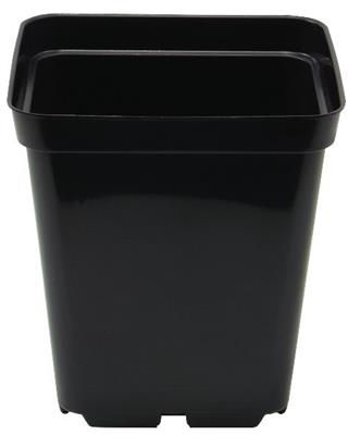 Thumbnail: Square Pot 10cm - 0.7L