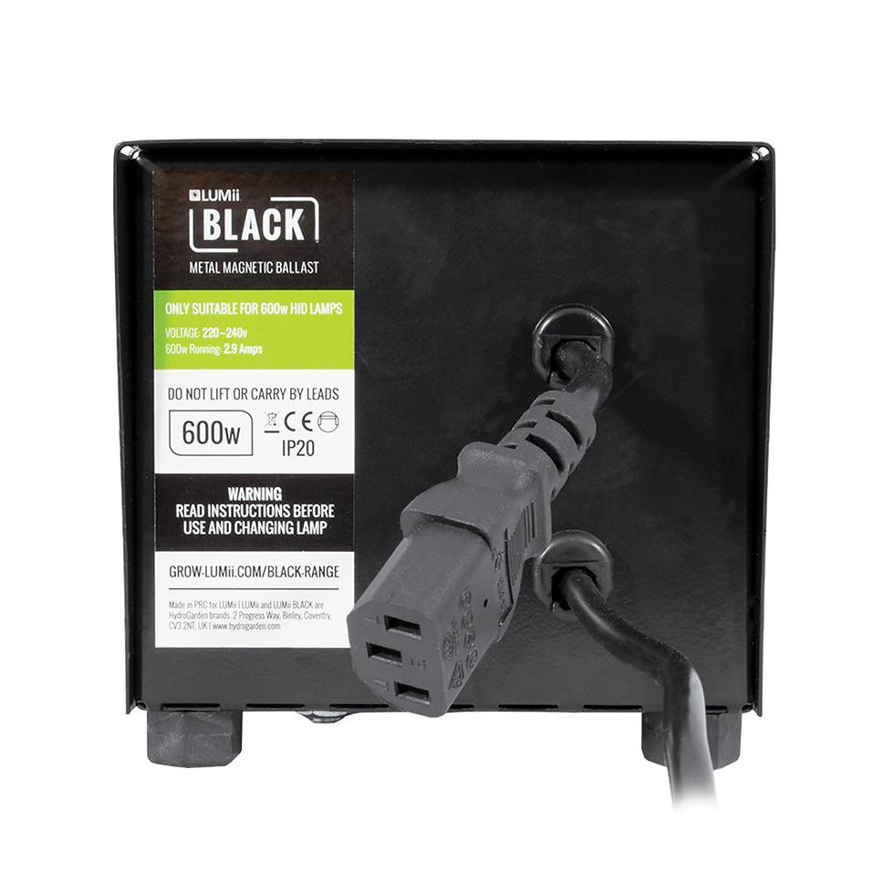 Thumbnail: LUMii BLACK 600W Metal Magnetic Ballast