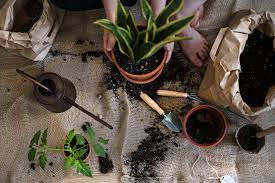 Preparing Your Garden for Winter Planting
