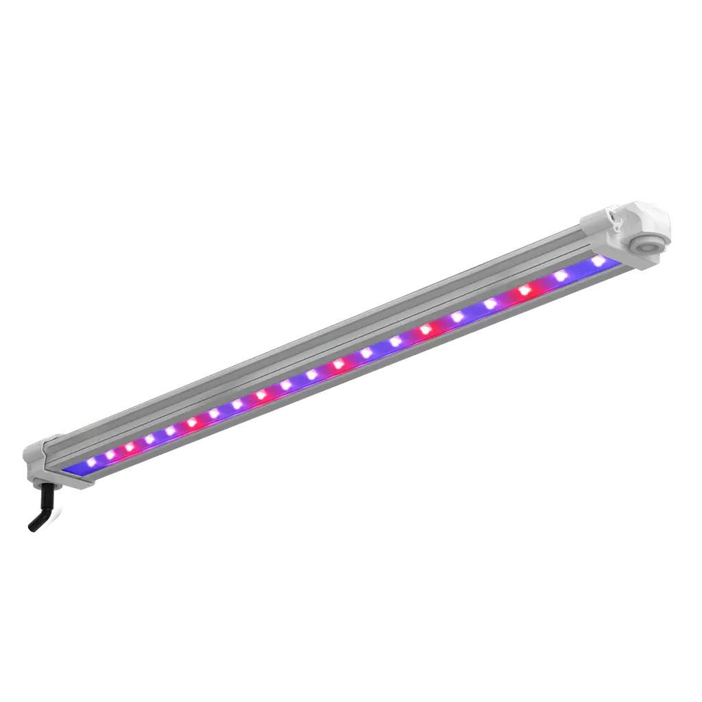 LUMii BLACK Bar 30w UV/FR LED