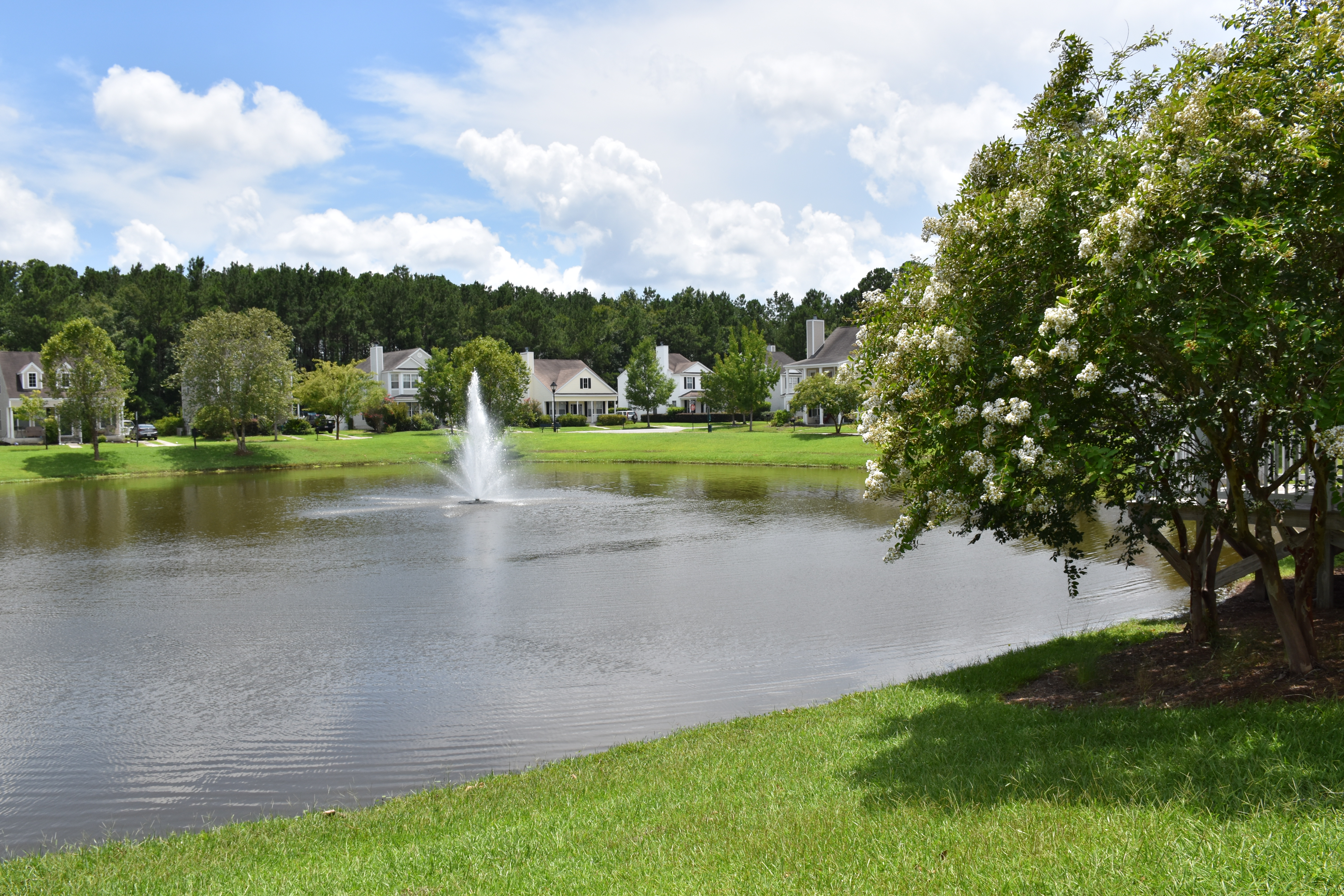 University Park imcresortservices