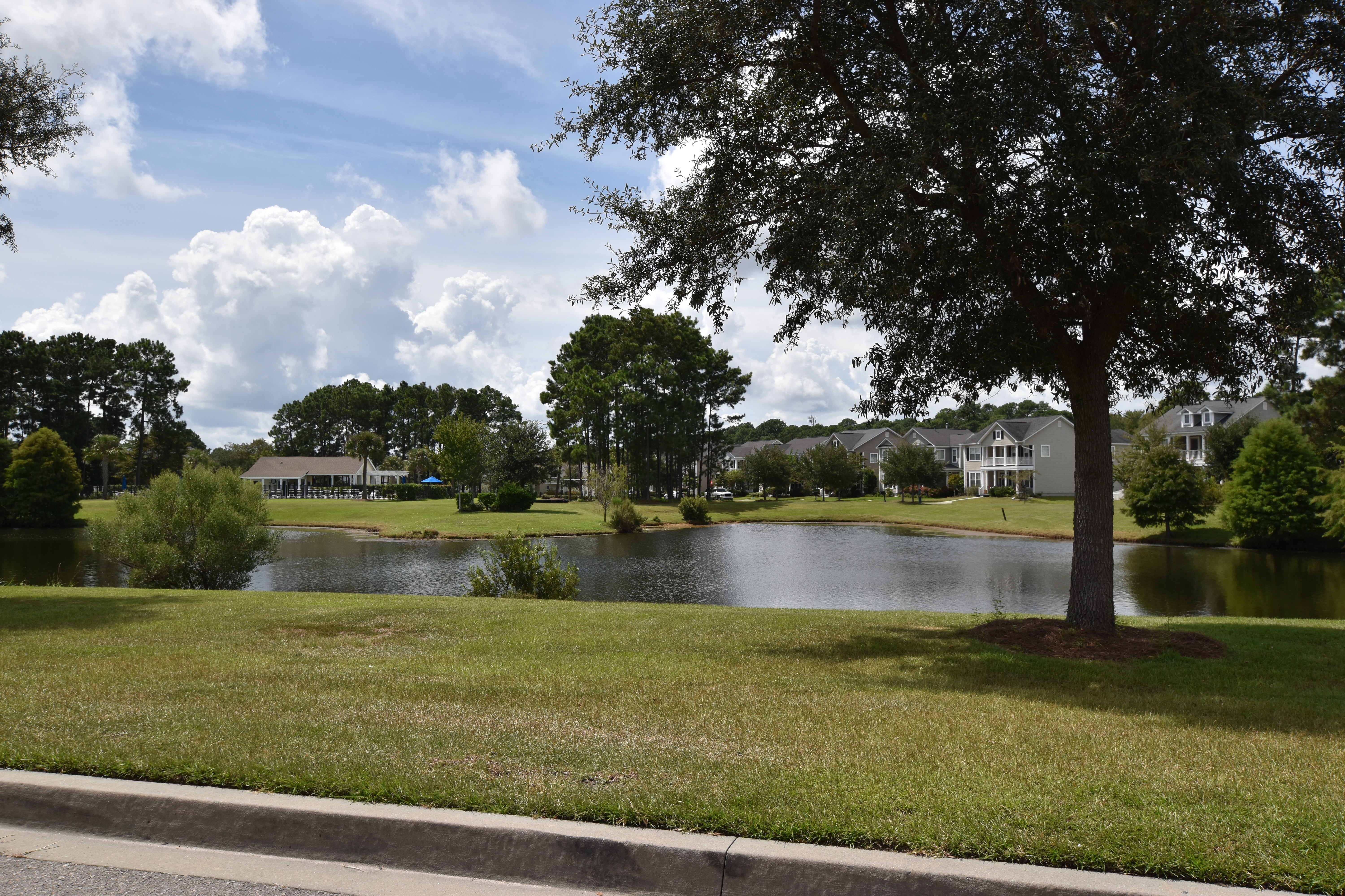 bluffton community pool