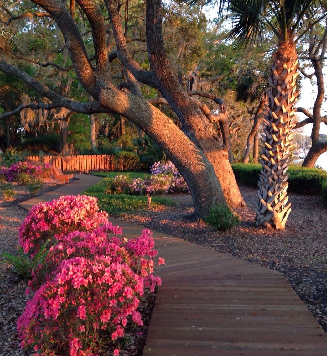 Indian Springs imcresortservices