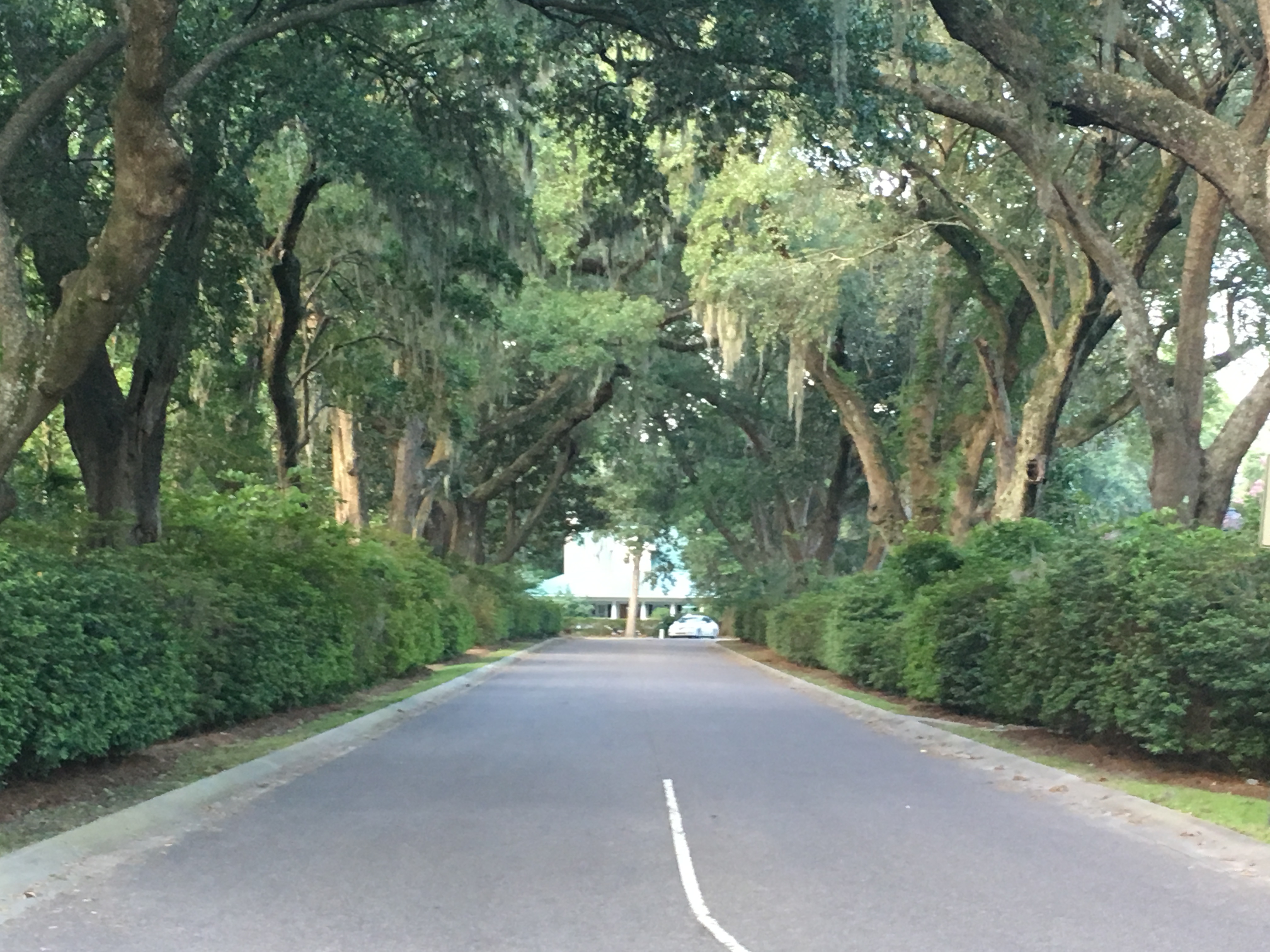 Schieveling Plantation IMCcharleston