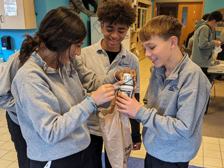 El camino hacia el dominio de la enseñanza media