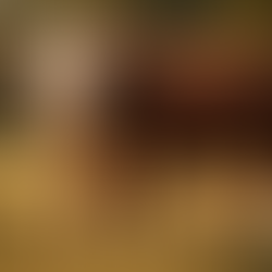 Créativité et innovation, ne mettons pas la charrue avant les bœufs