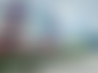 Více zeleně ve městě