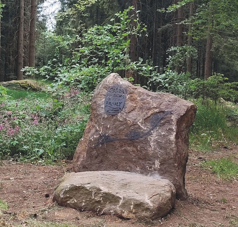 Cyklistické traily na Libíně
