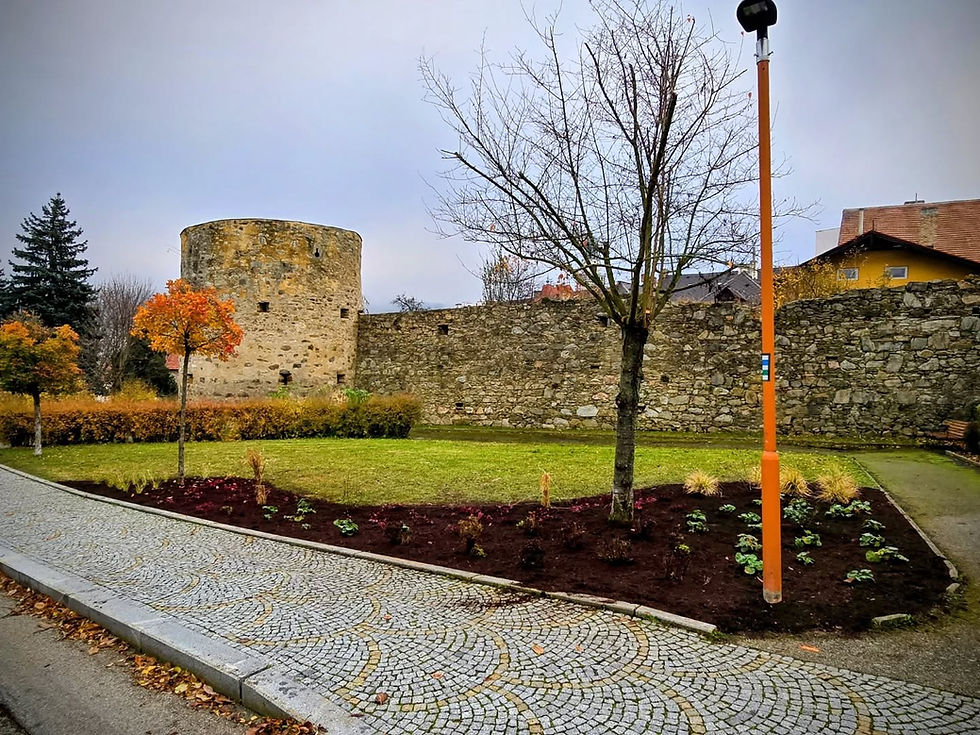 Trvalkový záhon v Hradební ulici