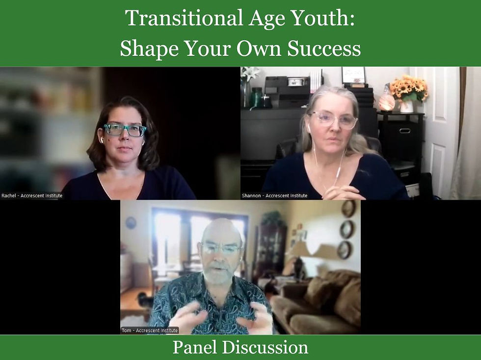Screenshot from Accrescent Institute team discussing resources for Transitional Age Youth