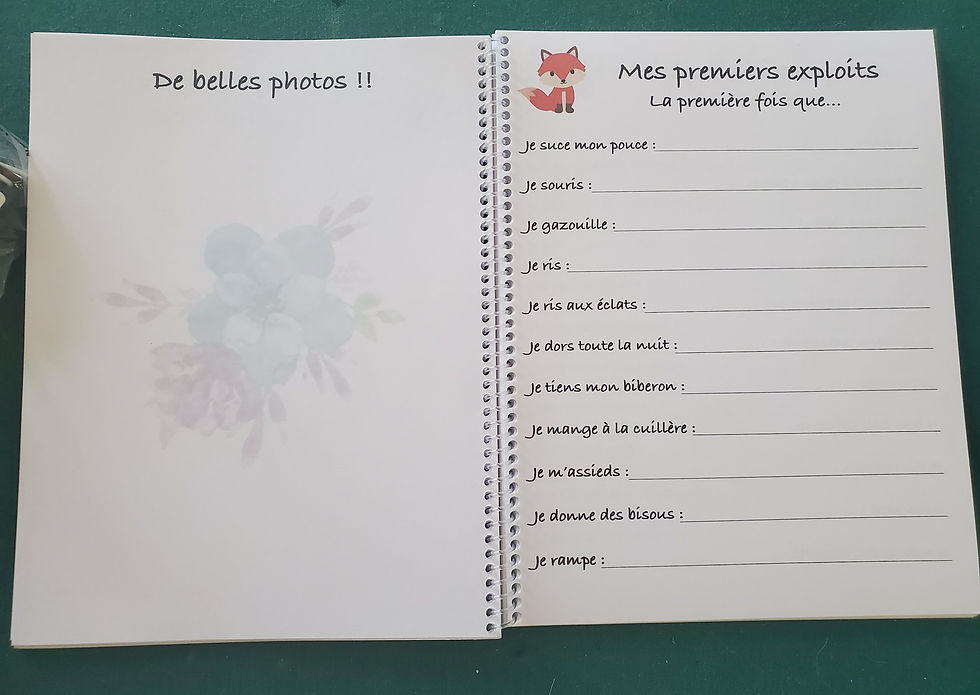 Miniature : Livre de bébé(personnalisé)