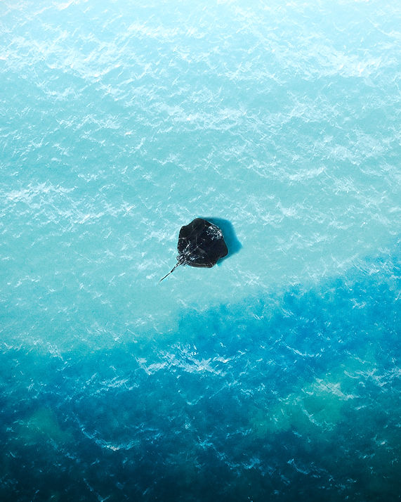 pat-whelen-SGc7BSInmjk-unsplash.jpg