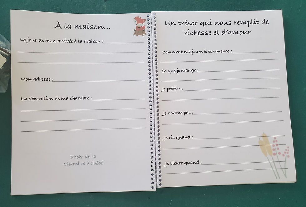 Miniature : Livre de bébé(personnalisé)